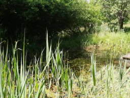 Rita offene Gartentor